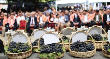 İzmir Karabağlar'da Kavacık Üzüm Festivali coşkusu