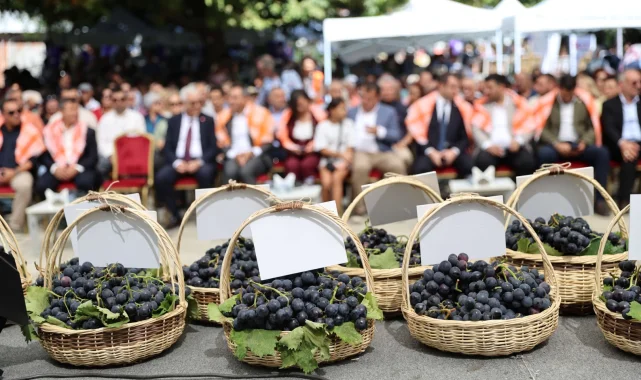 İzmir Karabağlar'da Kavacık Üzüm Festivali coşkusu