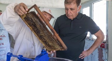 İzmir'de Başkan Tugay üreticiyle bal sağdı