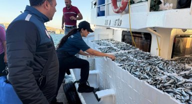 İzmir'de su ürünleri denetimleri aralıksız sürüyor