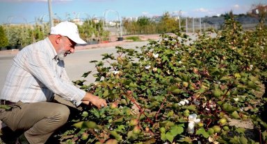 Kayseri'nin yeşil geleceği Kocasinan'da hayat buluyor