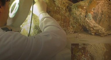 Kültür Varlıkları'ndan 'Toprağın Altından Vitrine' paylaşımı