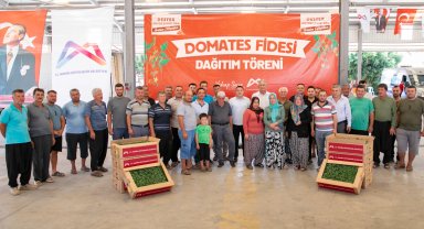 Mersin'de üreticiye domates fidesi desteği