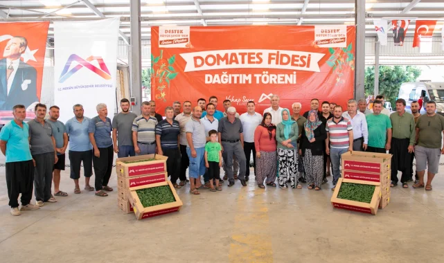 Mersin'de üreticiye domates fidesi desteği