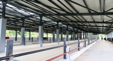 Ordu Fatsa'da Damızlık Düve Yetiştirme Merkezi tamamlandı