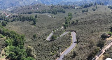Ordu'da Ulubey Şeyhler'de yol sevinci