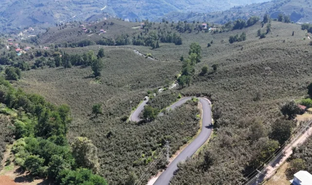 Ordu'da Ulubey Şeyhler'de yol sevinci
