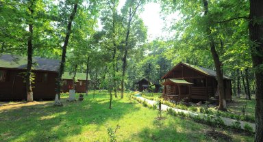 Sakarya İl Ormanı Bungalov Evleri misafirlerini bekliyor