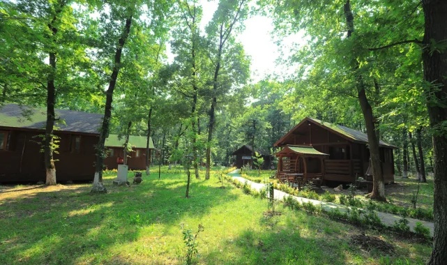 Sakarya İl Ormanı Bungalov Evleri misafirlerini bekliyor