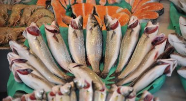 Su ürünleri sektörü Future Fish Eurasia'da buluşuyor