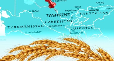 Türkiye un ihracatında 12. şampiyonluk hedefini koydu... Tahıl sektörü Taşkent'te buluşuyor
