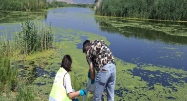 Yaz aylarında Gediz'de kirlilik yükselişe geçti