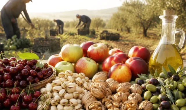 2026'da zeytin ve meyve üretiminde büyük artış bekleniyor