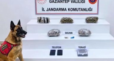 32 ilde yüzlerce kilo uyuşturucu ele geçirildi