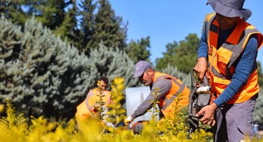 Antalya COP31'e hazırlanıyor