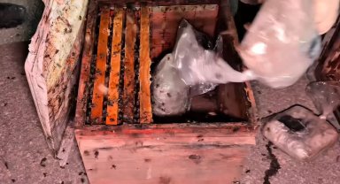 Arı kovanlarının arasından 91 kilo uyuşturucu çıktı