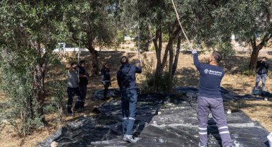 Bornova'da asırlık miras ihtiyaç sahibi ailelerin sofrasında