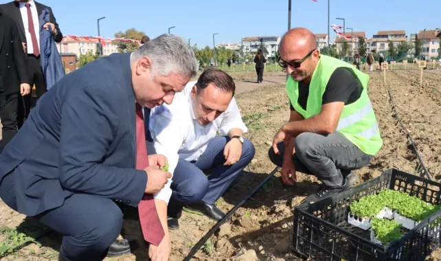 Bornova'nın üretim modeli Türkiye'ye yayılıyor