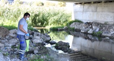 Çanakkale'de ısıran karasinek alarmı