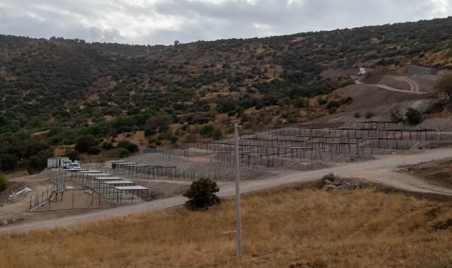 Dikili'ye tam teşekküllü sokak hayvanları kampüsü