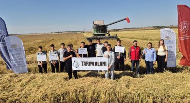 Edirne Keşan'da gençlerle çeltik hasadı deneyimi