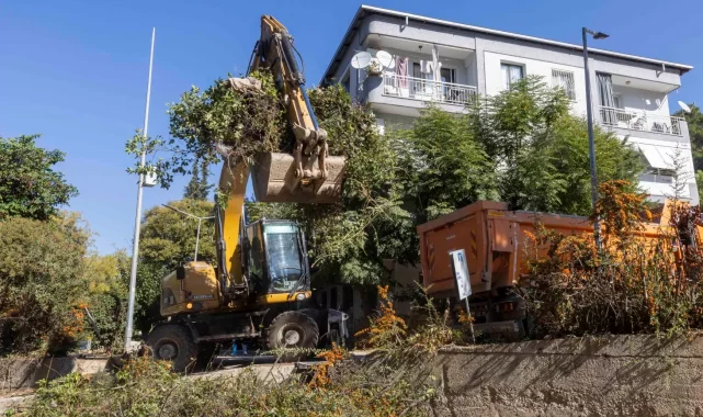 İzmir'in derelerinde kış seferberliği