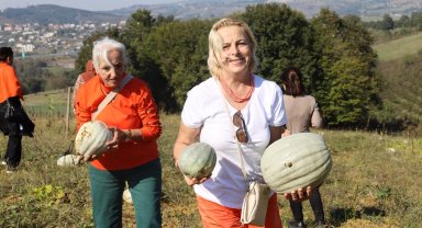 İzmit'te atıl arazi bereketli tarlaya dönüştü... 8 ton balkabağı hasat edildi
