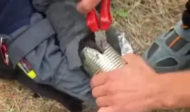 Kayseri itfaiyesinden kediye özel yardım