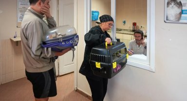 Maltepe'den sokaklarındaki can dostlarına ücretsiz muayene