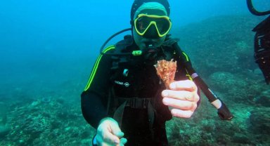 Marsilya'da deniz koruma alanı örnek oldu