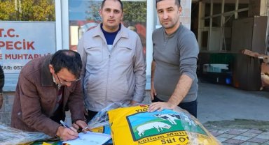 Mustafakemalpaşa'da üreticilere 2 ton İtalyan çimi tohumu desteği