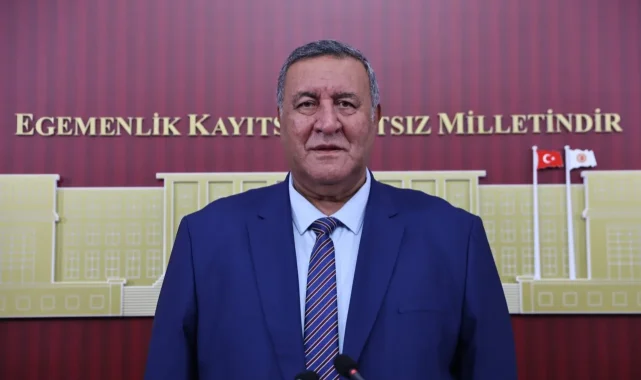 Ömer Fethi Gürer'den bütçe değerlendirmesi