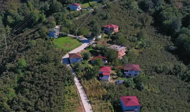 Ordu Çamaş'ta beton yol çalışmaları aralıksız sürüyor