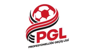 Profesyonelliğe Geçiş Ligi'nde gruplar belirlendi