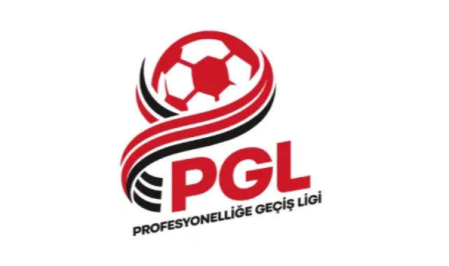 Profesyonelliğe Geçiş Ligi'nde gruplar belirlendi