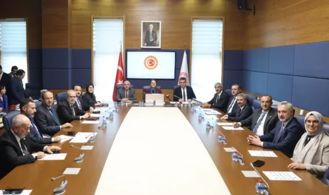 TBMM İnsan Haklarını İnceleme Komisyonu'nda Başkan Vekili seçildi