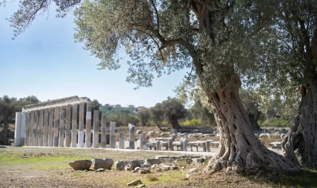 Teos'un taşları 2 bin 200 yıllık tarihi gün yüzüne çıkarıyor