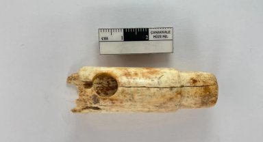 Troya kazılarında ilk müzik aletleri bulundu