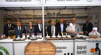 Uluslararası Ayvalık Zeytin Hasat ve Turizm Festivali başladı