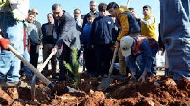 400 Minik Öğrenci Üniversiteye 10 Bin Fidan Dikti