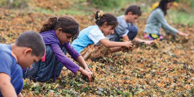 700 Milyon Çocuk Çocukluğunu Yaşayamıyor