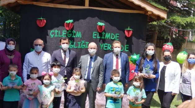 950 minik öğrenciye saksıda çilek fidesi dağıtıldı