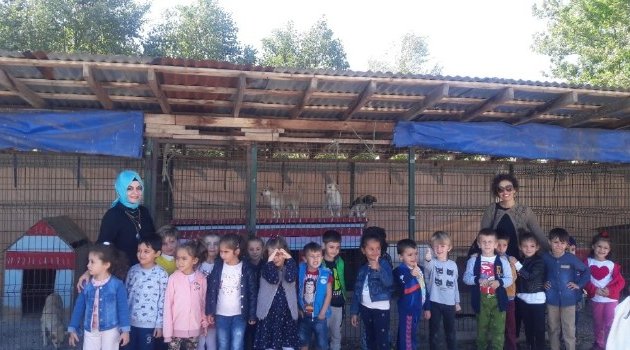 Anaokulu Öğrencilerine Hayvan Sevgisi Aşılandı