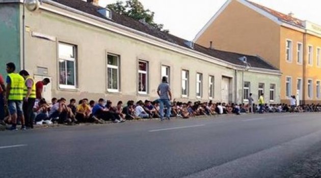 Avusturya'da 14 Mülteci Çocuk Kayboldu