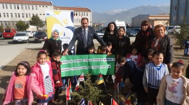 Benim İçin Bir Ağaç Diker Misin?
