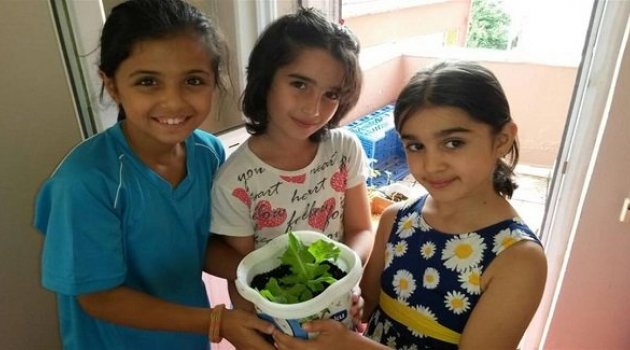 Bilge Öğrencilerle Sağlıklı Besinler