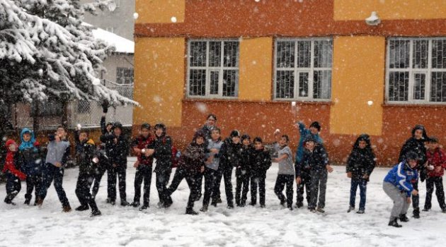 Bizim Çocuklar Kutup Ayısı Mı?