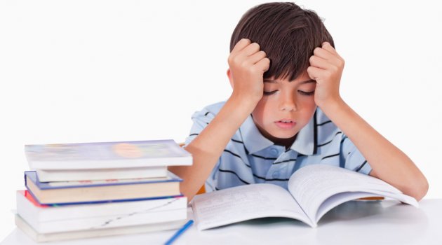 Bu Eğitim Sisteminde ‘Mutlu Çocuk’ Yetiştirmenin Sırrı Ne?