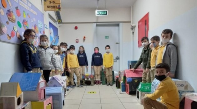 Bursa'da minikler kedileri