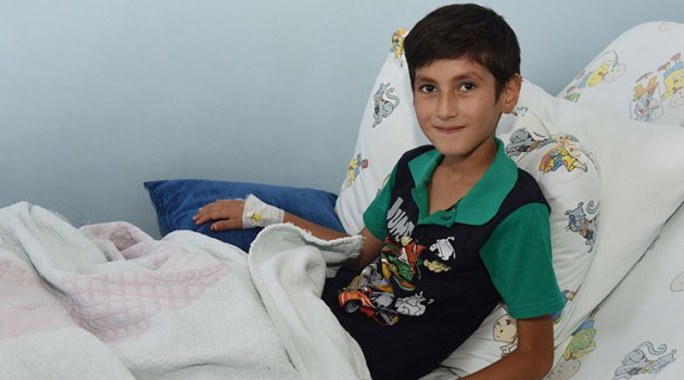 Çekirdek Tutkusu Yüzünden Hastanelik Oldu